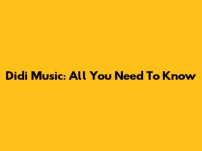 Didi Music: All You Need To Know