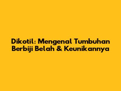 Dikotil: Mengenal Tumbuhan Berbiji Belah & Keunikannya