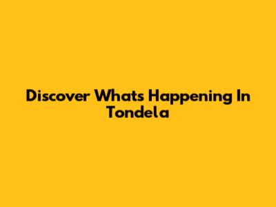 Discover What's Happening In Tondela