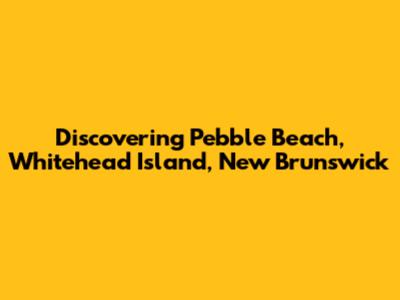 Discovering Pebble Beach, Whitehead Island, New Brunswick