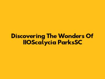Discovering The Wonders Of IIOScalycia ParksSC