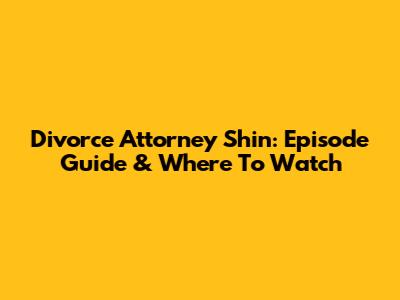 Divorce Attorney Shin: Episode Guide & Where To Watch