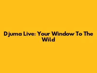 Djuma Live: Your Window To The Wild
