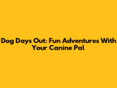 Dog Days Out: Fun Adventures With Your Canine Pal