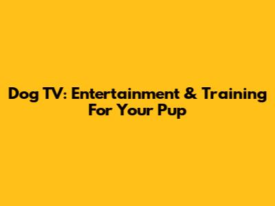 Dog TV: Entertainment & Training For Your Pup