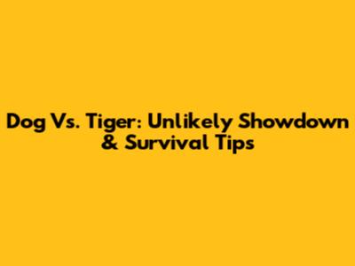 Dog Vs. Tiger: Unlikely Showdown & Survival Tips