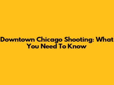 Downtown Chicago Shooting: What You Need To Know