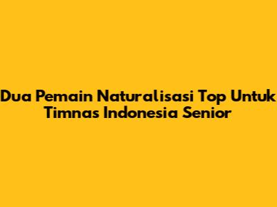 Dua Pemain Naturalisasi Top Untuk Timnas Indonesia Senior