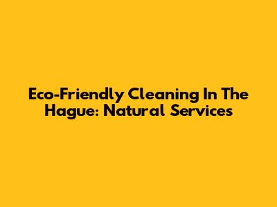 Eco-Friendly Cleaning In The Hague: Natural Services