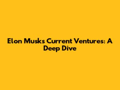 Elon Musk's Current Ventures: A Deep Dive