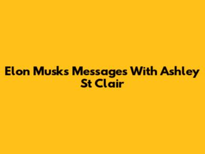 Elon Musk's Messages With Ashley St Clair