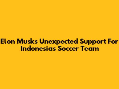 Elon Musk's Unexpected Support For Indonesia's Soccer Team