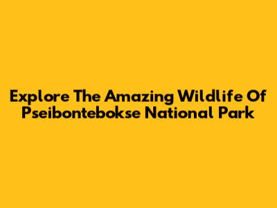 Explore The Amazing Wildlife Of Pseibontebokse National Park