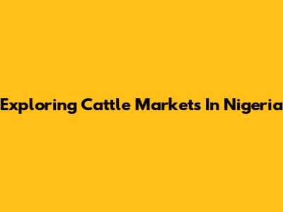 Exploring Cattle Markets In Nigeria