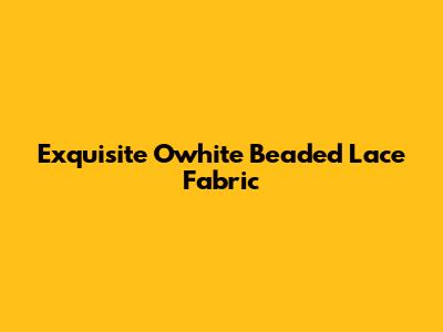 Exquisite Owhite Beaded Lace Fabric