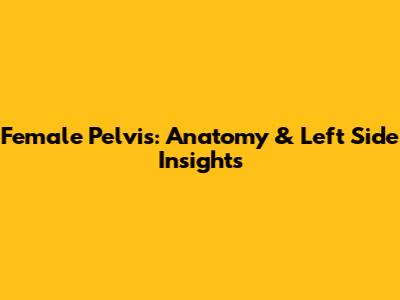 Female Pelvis: Anatomy & Left Side Insights