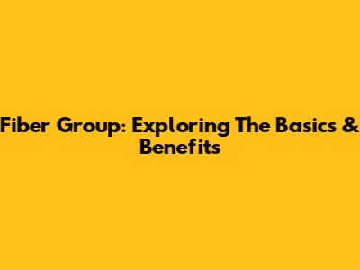 Fiber Group: Exploring The Basics & Benefits