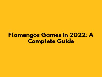 Flamengo's Games In 2022: A Complete Guide