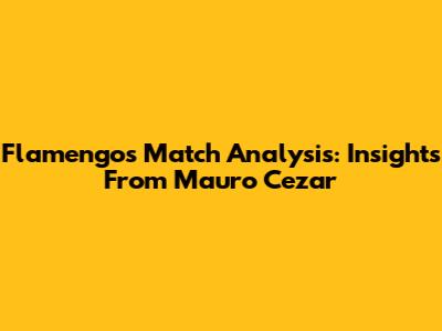 Flamengo's Match Analysis: Insights From Mauro Cezar