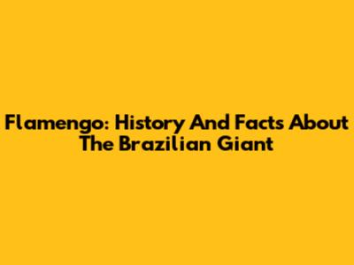 Flamengo: History And Facts About The Brazilian Giant