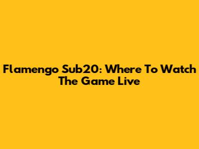 Flamengo Sub20: Where To Watch The Game Live
