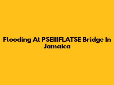 Flooding At PSEIIIFLATSE Bridge In Jamaica