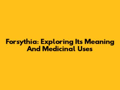 Forsythia: Exploring Its Meaning And Medicinal Uses