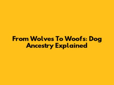 From Wolves To Woofs: Dog Ancestry Explained