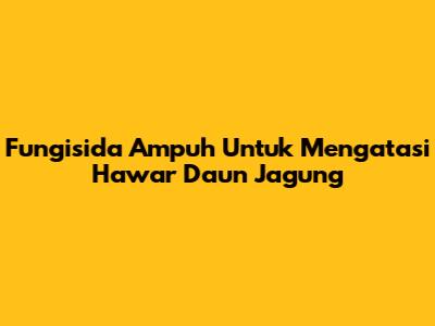 Fungisida Ampuh Untuk Mengatasi Hawar Daun Jagung