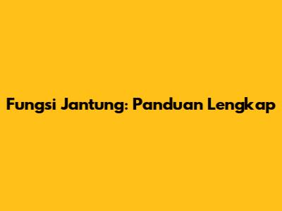 Fungsi Jantung: Panduan Lengkap