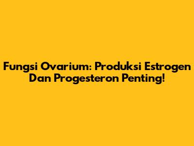 Fungsi Ovarium: Produksi Estrogen Dan Progesteron Penting!