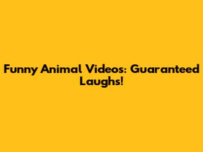Funny Animal Videos: Guaranteed Laughs!