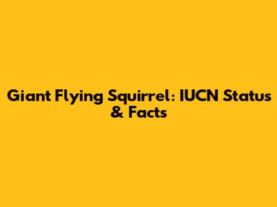 Giant Flying Squirrel: IUCN Status & Facts