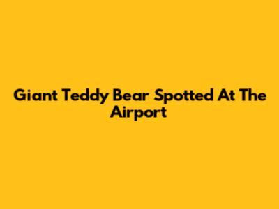 Giant Teddy Bear Spotted At The Airport