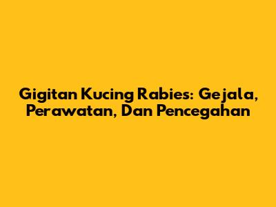 Gigitan Kucing Rabies: Gejala, Perawatan, Dan Pencegahan