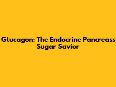 Glucagon: The Endocrine Pancreas's Sugar Savior