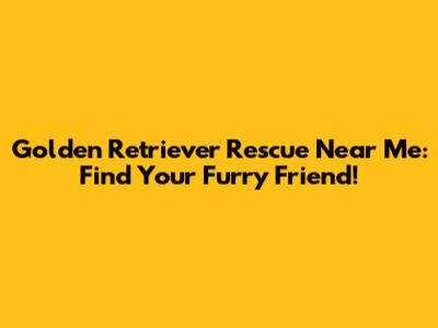 Golden Retriever Rescue Near Me: Find Your Furry Friend!