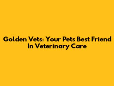 Golden Vets: Your Pet's Best Friend In Veterinary Care