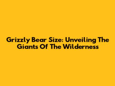 Grizzly Bear Size: Unveiling The Giants Of The Wilderness