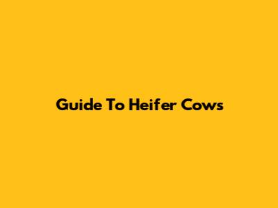 Guide To Heifer Cows