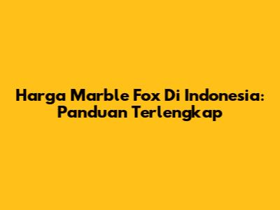 Harga Marble Fox Di Indonesia: Panduan Terlengkap