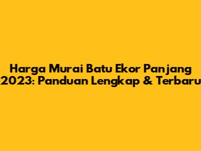 Harga Murai Batu Ekor Panjang 2023: Panduan Lengkap & Terbaru
