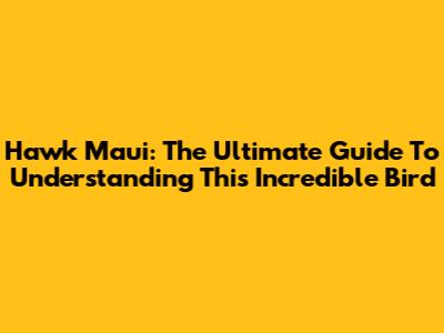 Hawk Maui: The Ultimate Guide To Understanding This Incredible Bird