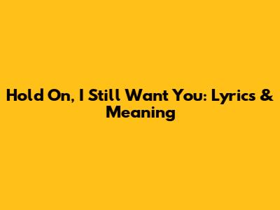 Hold On, I Still Want You: Lyrics & Meaning