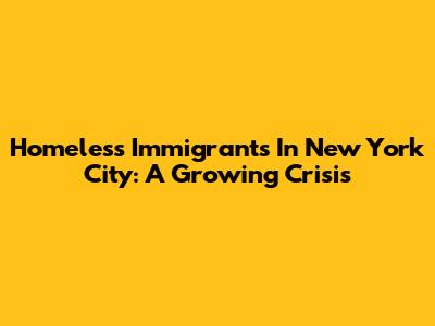 Homeless Immigrants In New York City: A Growing Crisis