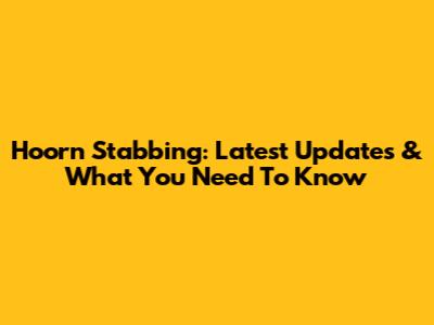Hoorn Stabbing: Latest Updates & What You Need To Know