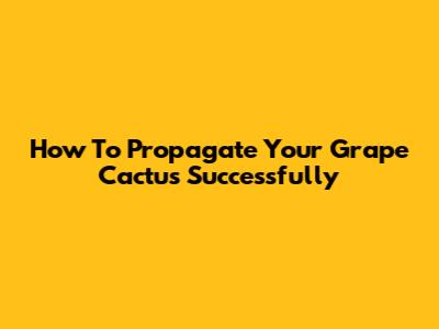 How To Propagate Your Grape Cactus Successfully