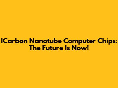 ICarbon Nanotube Computer Chips: The Future Is Now!