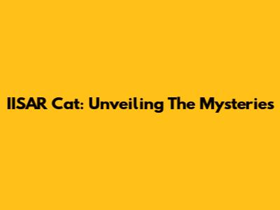 IISAR Cat: Unveiling The Mysteries