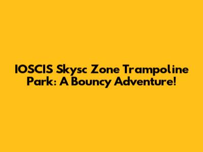 IOSCIS Skysc Zone Trampoline Park: A Bouncy Adventure!